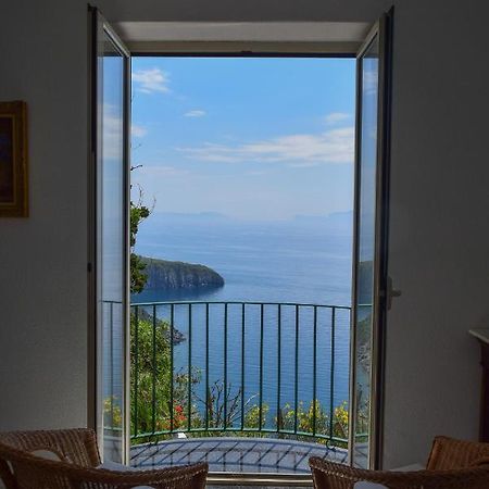 Il Giardino Selvatico Di Succellario - Apartments Barano dʼIschia Екстериор снимка