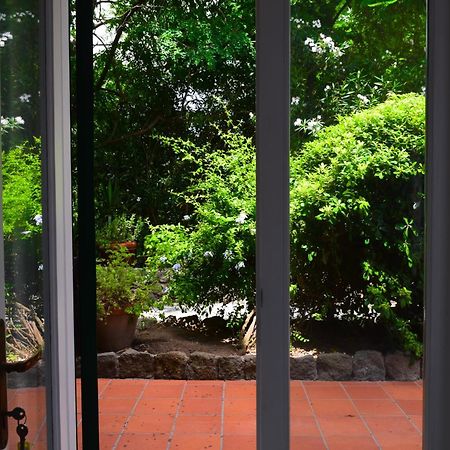 Il Giardino Selvatico Di Succellario - Apartments Barano dʼIschia Екстериор снимка
