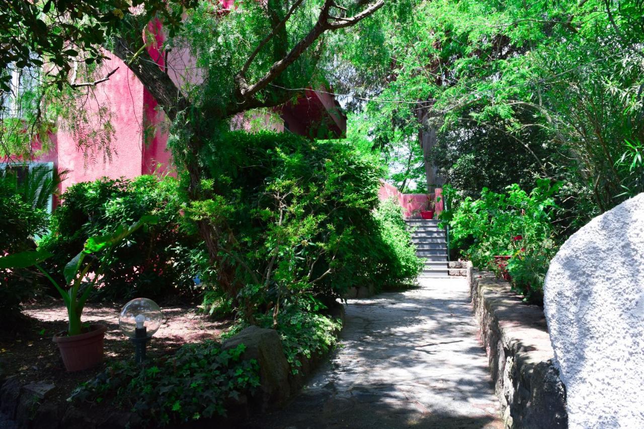 Il Giardino Selvatico Di Succellario - Apartments Barano dʼIschia Екстериор снимка