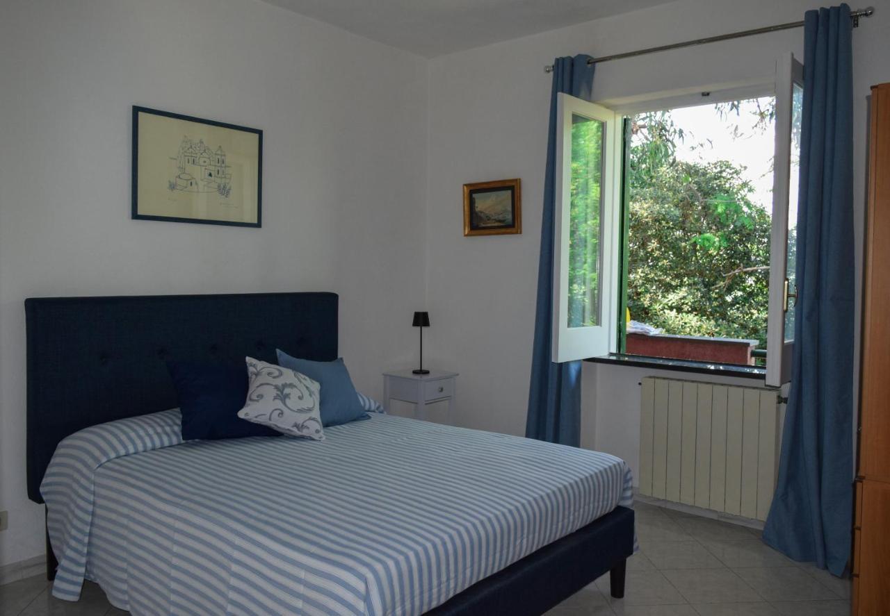 Il Giardino Selvatico Di Succellario - Apartments Barano dʼIschia Екстериор снимка