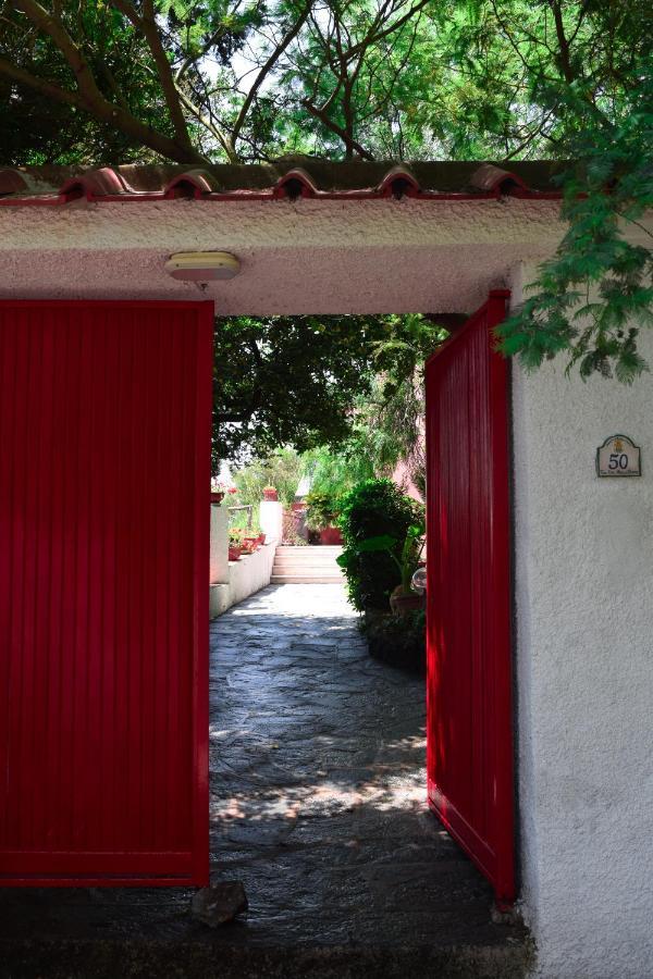 Il Giardino Selvatico Di Succellario - Apartments Barano dʼIschia Екстериор снимка