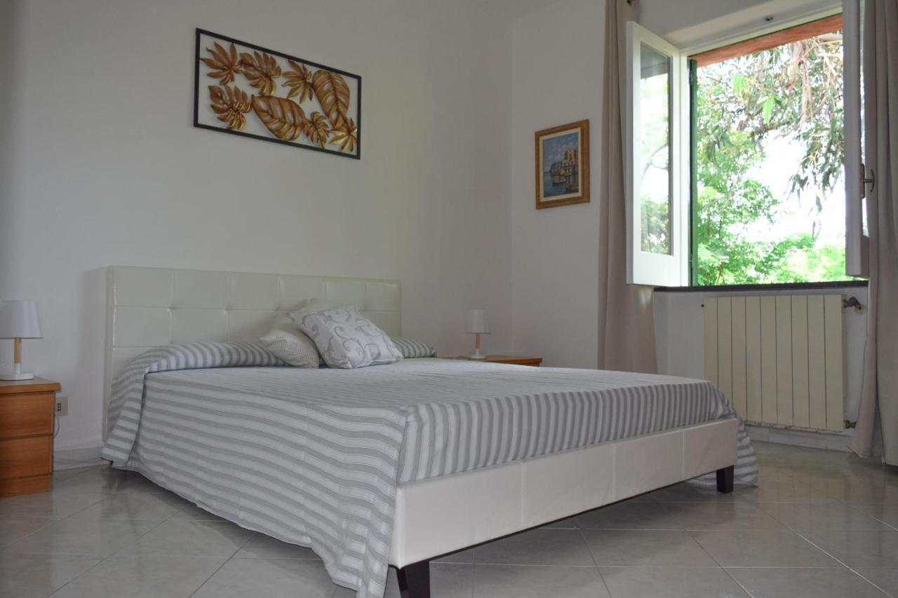 Il Giardino Selvatico Di Succellario - Apartments Barano dʼIschia Екстериор снимка