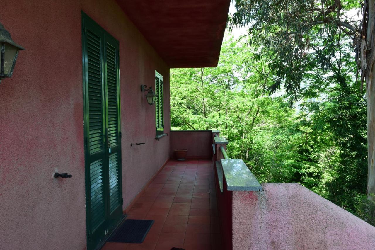 Il Giardino Selvatico Di Succellario - Apartments Barano dʼIschia Екстериор снимка